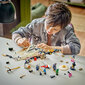 71809 LEGO® Ninjago Egalt-mestarilohikäärme hinta ja tiedot | LEGOT ja rakennuslelut | hobbyhall.fi
