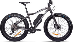 Sähköpyörä GZR Rough-e Fatbike 19", harmaa hinta ja tiedot | Sähköpyörät | hobbyhall.fi