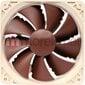 Noctua NF-P12-PWM hinta ja tiedot | Tietokoneen tuulettimet | hobbyhall.fi