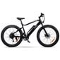 Swoop Sähköfatbike Striker, 26" hinta ja tiedot | Sähköpyörät | hobbyhall.fi