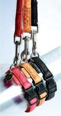 Zolux Mac Leather koiran talutushihna, 15 mm/1,2 m, punainen hinta ja tiedot | Zolux Koirat | hobbyhall.fi