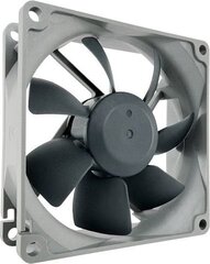 Noctua NF-R8 Redux-1800 hinta ja tiedot | Tietokoneen tuulettimet | hobbyhall.fi