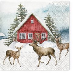 20 paperisen lautasliinan setti 33x33cm hinta ja tiedot | Tarjoiluastiat ja aterimet juhliin | hobbyhall.fi