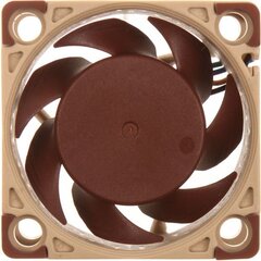 Noctua NF-A4x20 5V PWM hinta ja tiedot | Tietokoneen tuulettimet | hobbyhall.fi