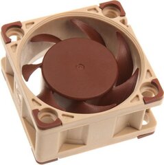 Noctua NF-A4x20 5V hinta ja tiedot | Tietokoneen tuulettimet | hobbyhall.fi