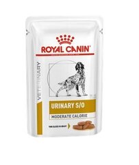 Royal Canin ylipainoisille koirille, 12x100 g hinta ja tiedot | Koiran märkäruoka | hobbyhall.fi