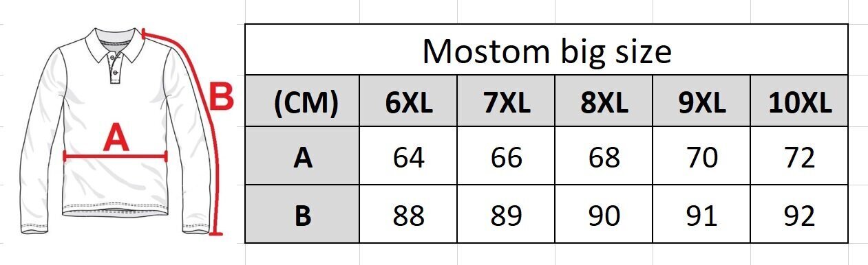 Miesten pitkähihainen paita Mostom 069-7 hinta ja tiedot | Miesten T-paidat | hobbyhall.fi