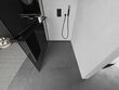 Walk-in-suihkuseinä Mexen Kioto+ hylly, kromi/grafiittilasi, 70,80,90,100,110,120 x 200 cm hinta ja tiedot | Suihkuseinät ja -ovet | hobbyhall.fi
