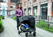 Tuplarattaat Baby Jogger City Mini GT 2, Jet hinta ja tiedot | Vaunut ja rattaat | hobbyhall.fi