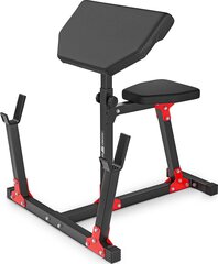 Scott bench Marbo MH-L105 2.0 (1008725) hinta ja tiedot | Marbo-sport Kuntolaitteet | hobbyhall.fi