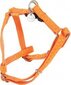 Zolux Mac Leather säädettävät valjaat koiralle, eri kokoja, oranssi hinta ja tiedot | Koiran valjaat ja kaulapannat | hobbyhall.fi