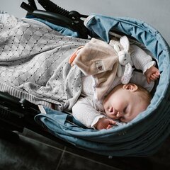 Babyono vaikiškas pledas 1479/02, 75x100 cm hinta ja tiedot | Päiväpeitot ja huovat | hobbyhall.fi