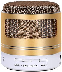 Speaker Gold hinta ja tiedot | Kaiuttimet | hobbyhall.fi