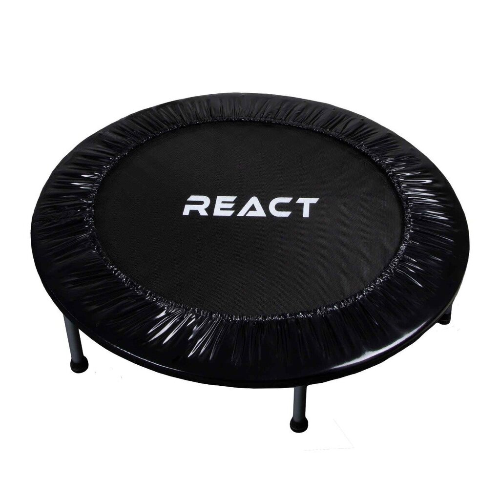 React Minitrampoliini 100cm hinta ja tiedot | Trampoliinit | hobbyhall.fi