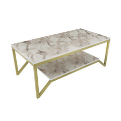 Sohvapöytä, Asir, 120x60x45,8 cm, kulta/valkoinen hinta ja tiedot | Sohvapöydät | hobbyhall.fi