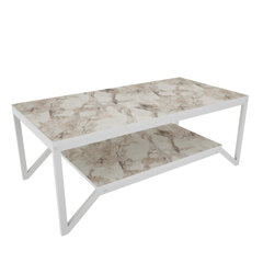 Sohvapöytä, Asir, 120x60x45,8 cm, valkoinen hinta ja tiedot | Sohvapöydät | hobbyhall.fi