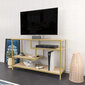 TV-taso, Asir, 120x39x75 cm, kulta/ruskea hinta ja tiedot | TV-tasot | hobbyhall.fi