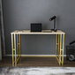 Pöytä, Asir, 120x60x74,8 cm, kulta/ruskea hinta ja tiedot | Tietokonepöydät ja työpöydät | hobbyhall.fi