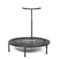 Core Trampoliini 100 cm hinta ja tiedot | Trampoliinit | hobbyhall.fi