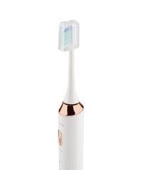 Beautifly B-Toothbrush White Smile hinta ja tiedot | Sähköhammasharjat | hobbyhall.fi