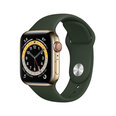 Apple Watch Series 6 Steel GPS + LTE (40mm) - M06V3, Gold/Cyprus Green