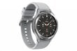 Samsung Galaxy Watch 4 Classic (LTE,46mm), Silver SM-R895FZSAEUD hinta ja tiedot | Älykellot | hobbyhall.fi