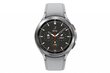 Samsung Galaxy Watch 4 Classic (BT,46mm) SM-R890NZSAEUD hinta ja tiedot | Älykellot | hobbyhall.fi