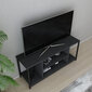 TV-taso, Asir, 120x35x50,8 cm, harmaa/musta hinta ja tiedot | TV-tasot | hobbyhall.fi