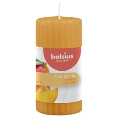 Bolsius Tuoksupilarikynttilät 6 kpl 120x58 mm mango hinta ja tiedot | Kynttilät ja kynttilänjalat | hobbyhall.fi