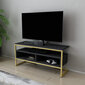 TV-taso, Asir, 110x35x49,9 cm, kulta/harmaa hinta ja tiedot | TV-tasot | hobbyhall.fi