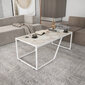 Sohvapöytä, Asir, 120x60x48 cm, valkoinen hinta ja tiedot | Sohvapöydät | hobbyhall.fi