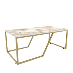Sohvapöytä, Asir, 120x60x48 cm, valkoinen/kulta hinta ja tiedot | Sohvapöydät | hobbyhall.fi