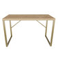Pöytä, Asir, 120x60x74 cm, kulta/beige hinta ja tiedot | Tietokonepöydät ja työpöydät | hobbyhall.fi