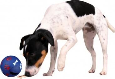 Pallo koirille Trixie, 14cm, 1 kpl hinta ja tiedot | Koiran lelut | hobbyhall.fi