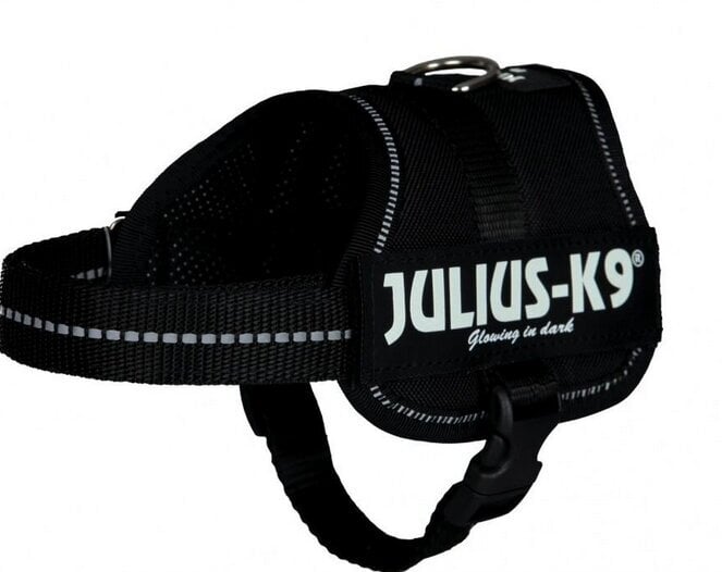 Valjaat koirille Trixie Julius-K9 Mini XS-S, musta hinta ja tiedot | Koiran valjaat ja kaulapannat | hobbyhall.fi
