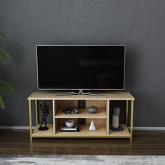 TV-taso, Asir, 120x35x50,8 cm, ruskea/kulta hinta ja tiedot | TV-tasot | hobbyhall.fi