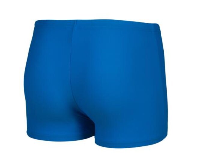 Lasten uimahousut Arena Splash Point Swim Short Black hinta ja tiedot | Poikien uima-asut | hobbyhall.fi