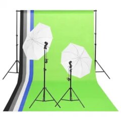 vidaXL Valokuvastudiosarja valosarja, taustakangas ja heijastin hinta ja tiedot | Valokuvaustarvikkeet | hobbyhall.fi
