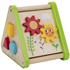 Opettava lelusetti taaperolle Tooky Toy Learning Box, 25 osaa hinta ja tiedot | Vauvan lelut | hobbyhall.fi