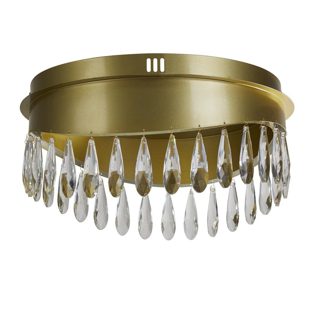 Kattovalaisin Searchlight Jewel LED 19211-1GO hinta ja tiedot | Kattovalaisimet | hobbyhall.fi
