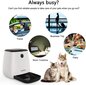 Automaattinen kissan/koiran syöttölaite + APP-ohjaus hinta ja tiedot | Ruokakupit ja ruokintatarvikkeet | hobbyhall.fi
