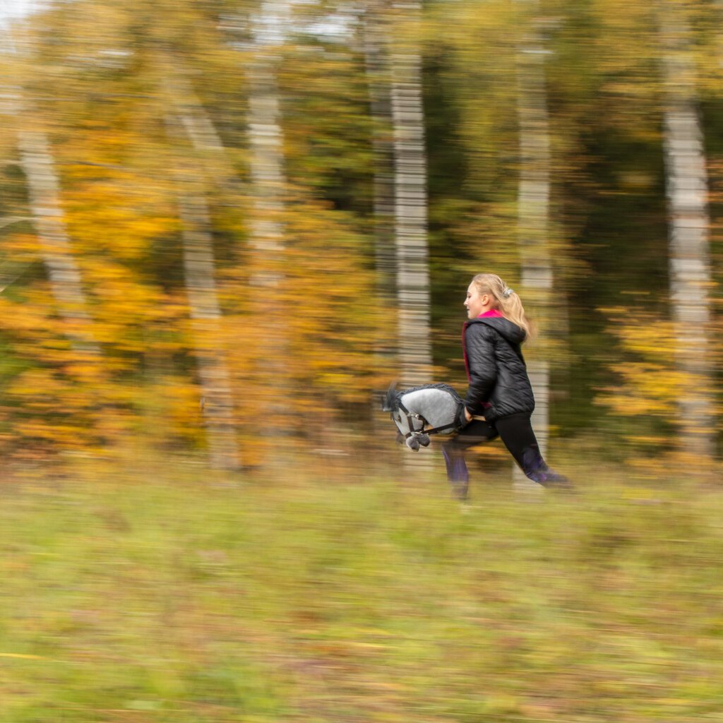 Hobby Horse Skippi, keppihevonen hinta ja tiedot | Tyttöjen lelut | hobbyhall.fi