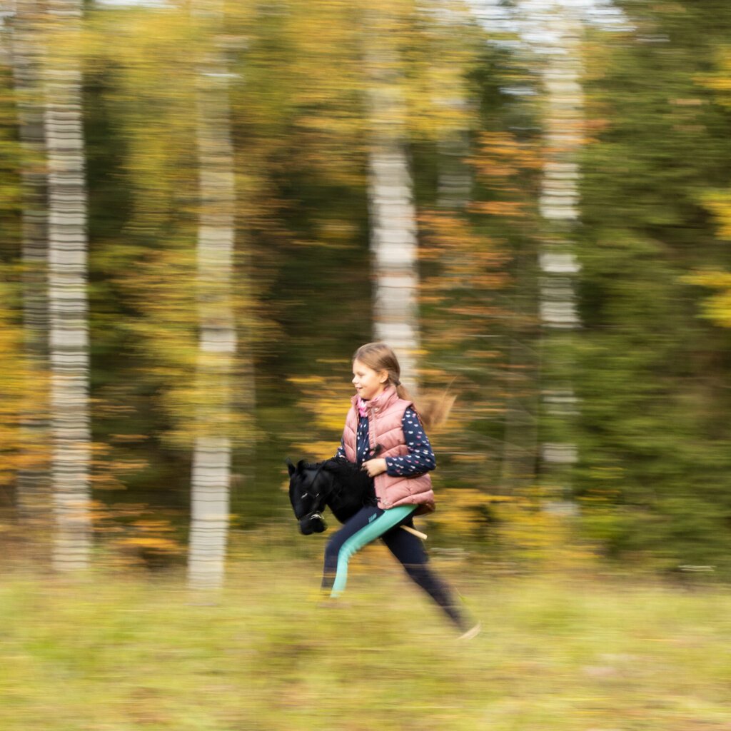 Hobby Horse Skippi, keppihevonen hinta ja tiedot | Tyttöjen lelut | hobbyhall.fi