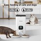Automaattinen kissan/koiran syöttölaite hinta ja tiedot | Ruokakupit ja ruokintatarvikkeet | hobbyhall.fi