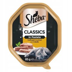 Sheba Classics ravinto kissoille kanaa ja kalkkunaa, 22x85 g hinta ja tiedot | Kissanruoka | hobbyhall.fi