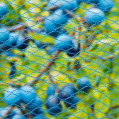 423501 Nature Bird Netting "Nano" 5x4 m Blue hinta ja tiedot | Puutarhatyökalut | hobbyhall.fi