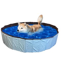 429419 @Pet Dog Swimming Pool 120x30cm L Blue hinta ja tiedot | Eläinten hoitotuotteet | hobbyhall.fi