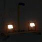 vidaXL LED-valonheitin kahvalla 2x10 W lämmin valkoinen hinta ja tiedot | Taskulamput ja valonheittimet | hobbyhall.fi