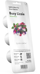 3 tuotteen paketti, Click & Grow Smart Garden -täyttö Busy Lizzie 3kpl hinta ja tiedot | Click & Grow Kodinkoneet ja kodinelektroniikka | hobbyhall.fi