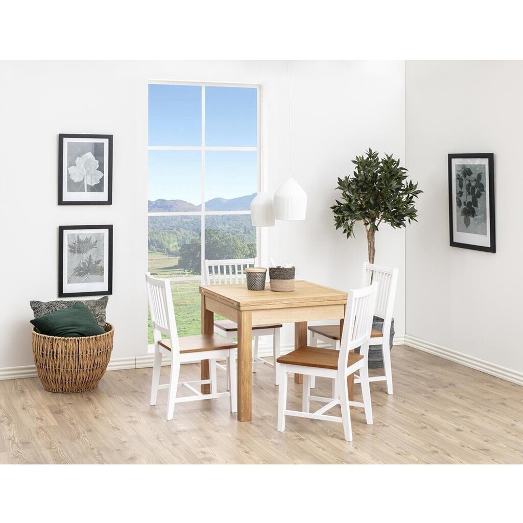 2 tuotteen paketti, Tuoli BRISBANE 43x51xH89,5cm, materiaali: kumipuu, väri: valkoinen, viimeistely: tammipetsattu, lakattu hinta ja tiedot | Ruokapöydän tuolit | hobbyhall.fi